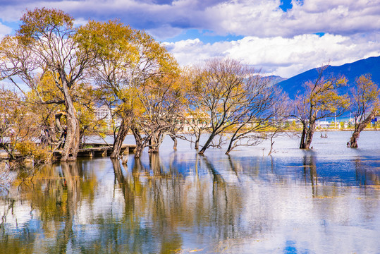 山水湖泊