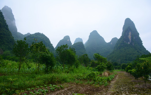 桂林山峰