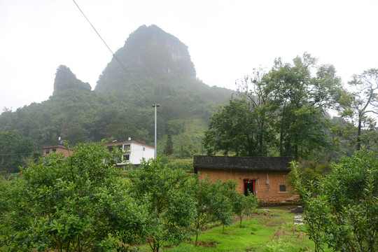 山水田园