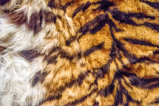 虎皮纹理