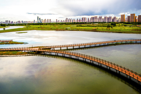 哈尔滨群力外滩湿地风光