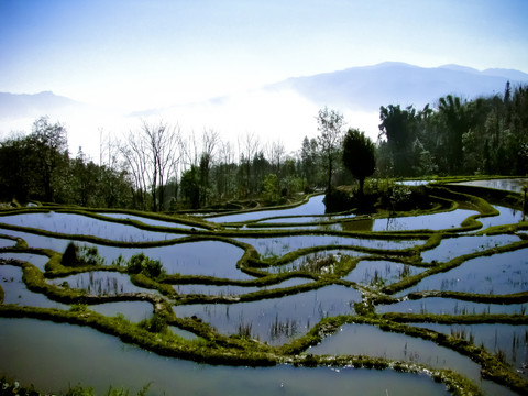 梯田风光