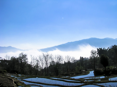 梯田风光