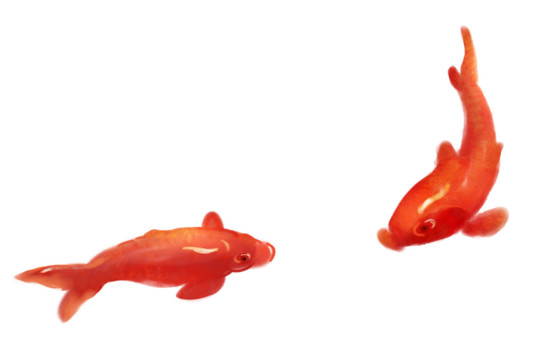 水墨红色鲤鱼