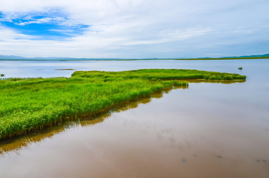 花湖若尔盖湿地