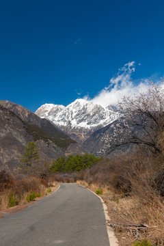 西藏林芝南迦巴瓦峰雪山下的桃花