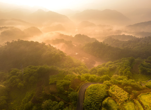 山乡晨雾