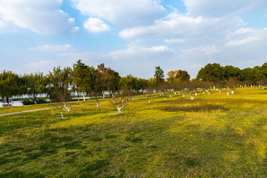 宛山荡风光