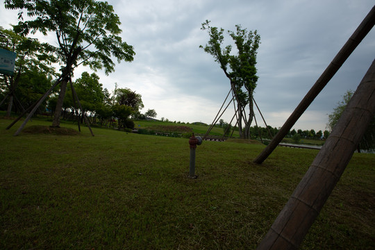 天空草地