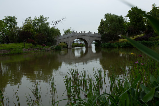 小桥池塘