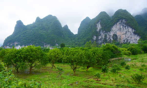 桂林风光