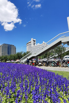 北京城市风光