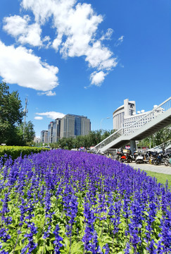 北京城市风光