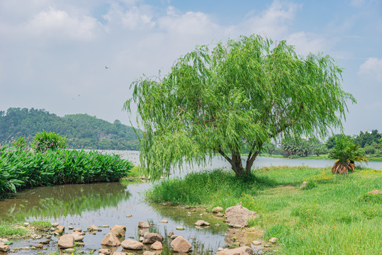 肇庆波海公园一角景色