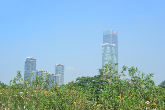 深圳市少年宫地铁站远眺深圳城市