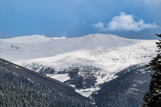 色季拉山