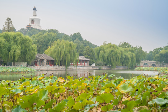 北京北海公园古建筑白塔风光