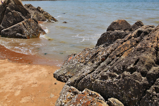 海水礁石和沙滩