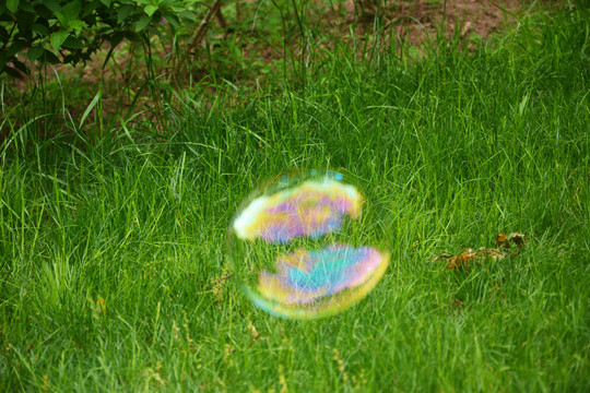 泡泡与绿草