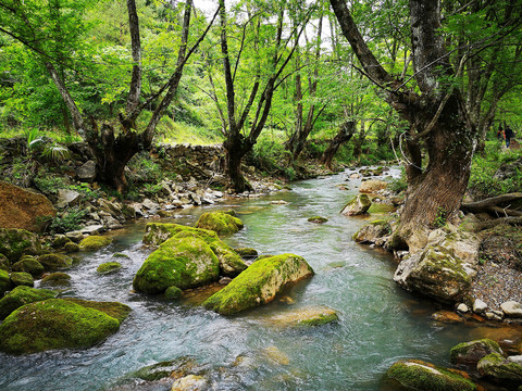 山中小溪