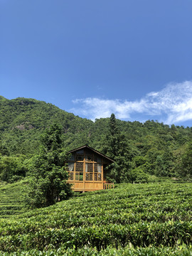 茶园山中小屋