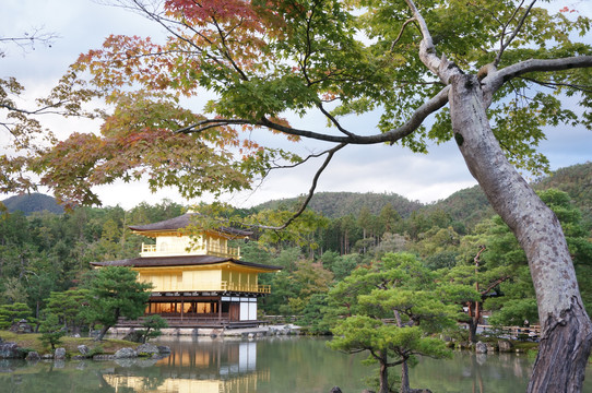 日本金阁寺