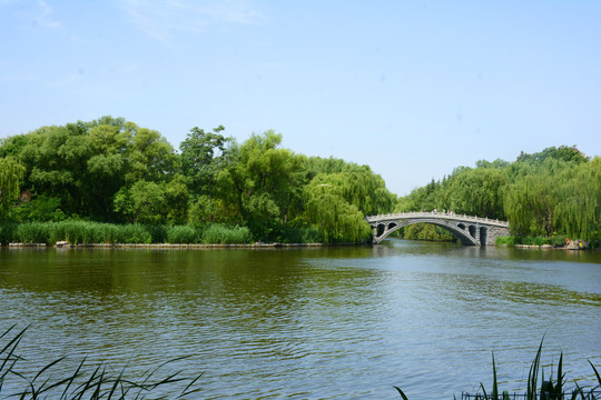 大明湖风光