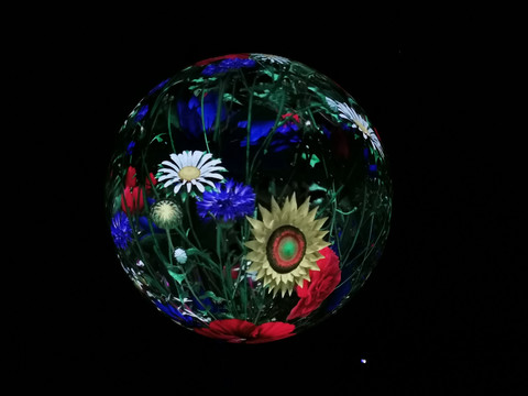 上海花博会虚拟花世界
