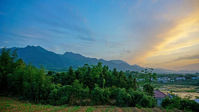 中峰稻田阳光