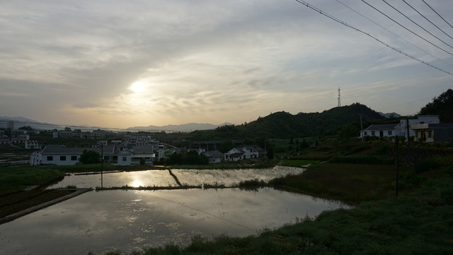 中峰稻田落日