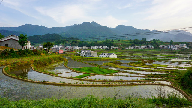 中峰稻田梯田