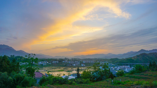 中峰稻田五