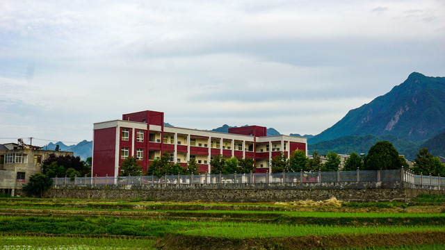 中峰中原九