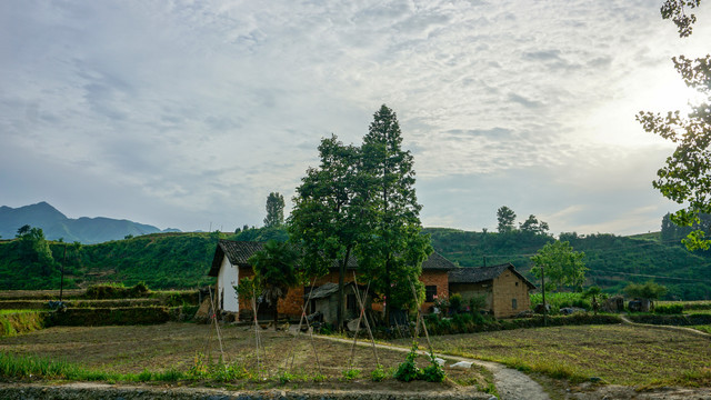 中峰中原四