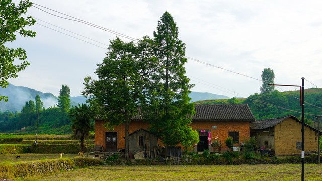 中峰中原二