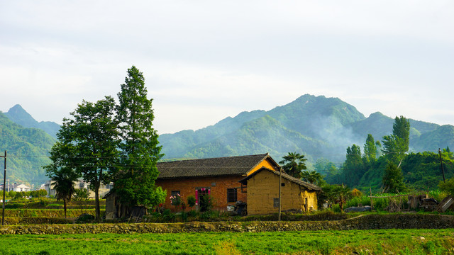 中峰中原村