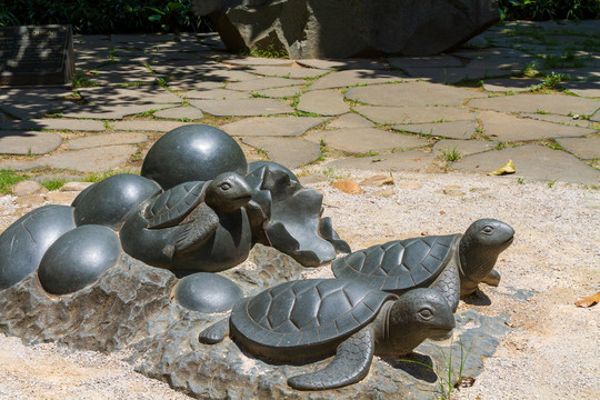 青秀山景区东盟友谊园蠵龟石雕