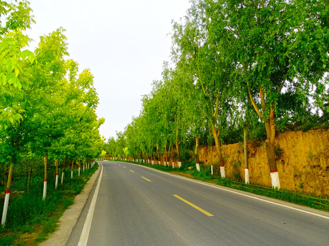 水泥路