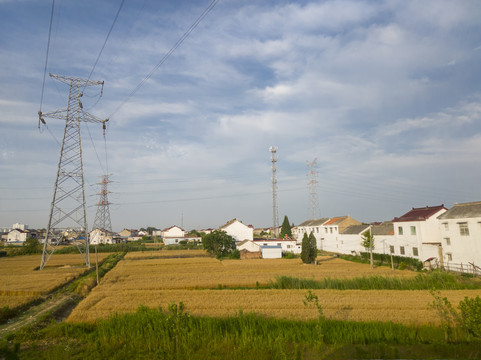 夏日苏北田园风光1