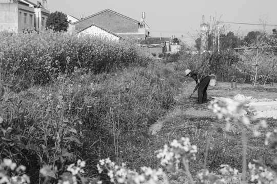 八十年代农村黑白怀旧老照片