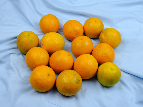 一堆橙子