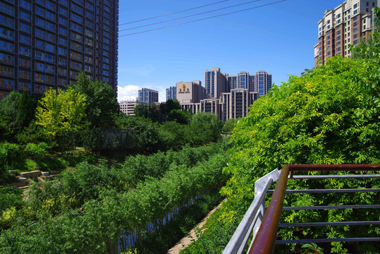 莲花河城市休闲公园