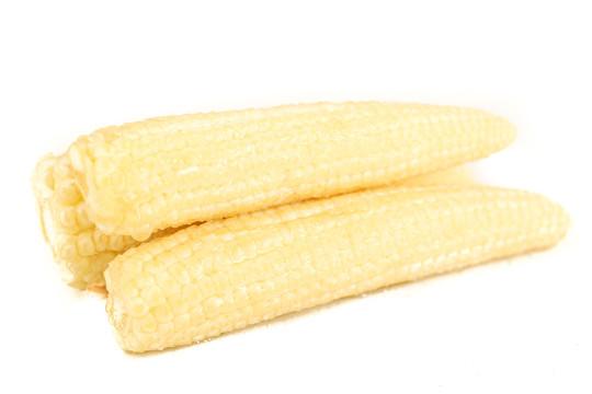 玉米笋白底图