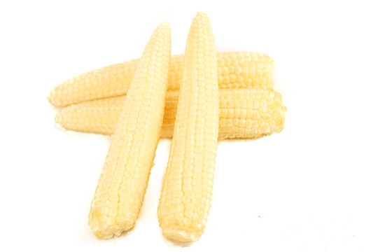 玉米笋白底图