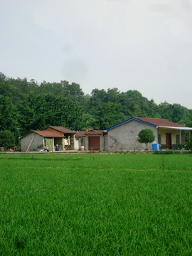 农村房屋