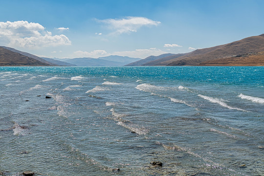 羊卓雍措湿地