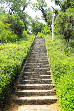 青砖台阶