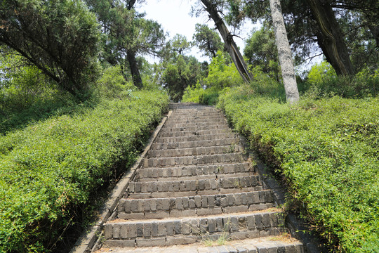 青砖台阶