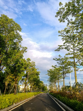 绿化公路