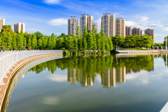 顺德容桂东湖公园早晨景色